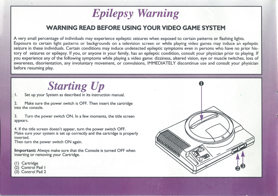 FantasticDizzy_Genesis_Manual-Page01